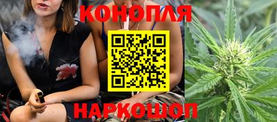 бошки Будённовск