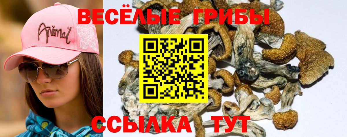 Галлюциногенные грибы ЛСД  Псилоцибиновые грибы Psilocybine cubensis  Челябинск  Вход с VPN 